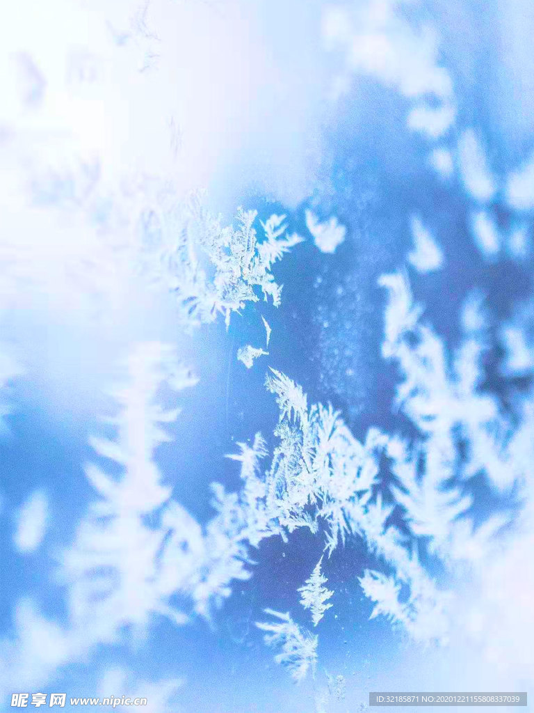雪地   圖片