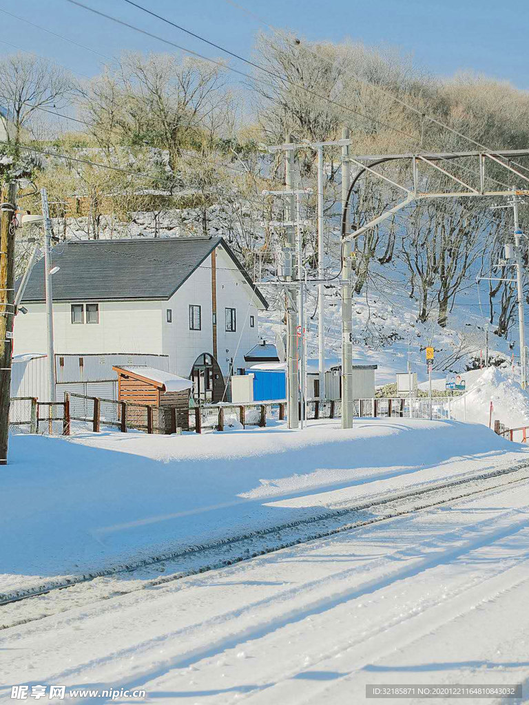 雪地   圖片