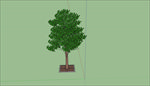 树SU模型