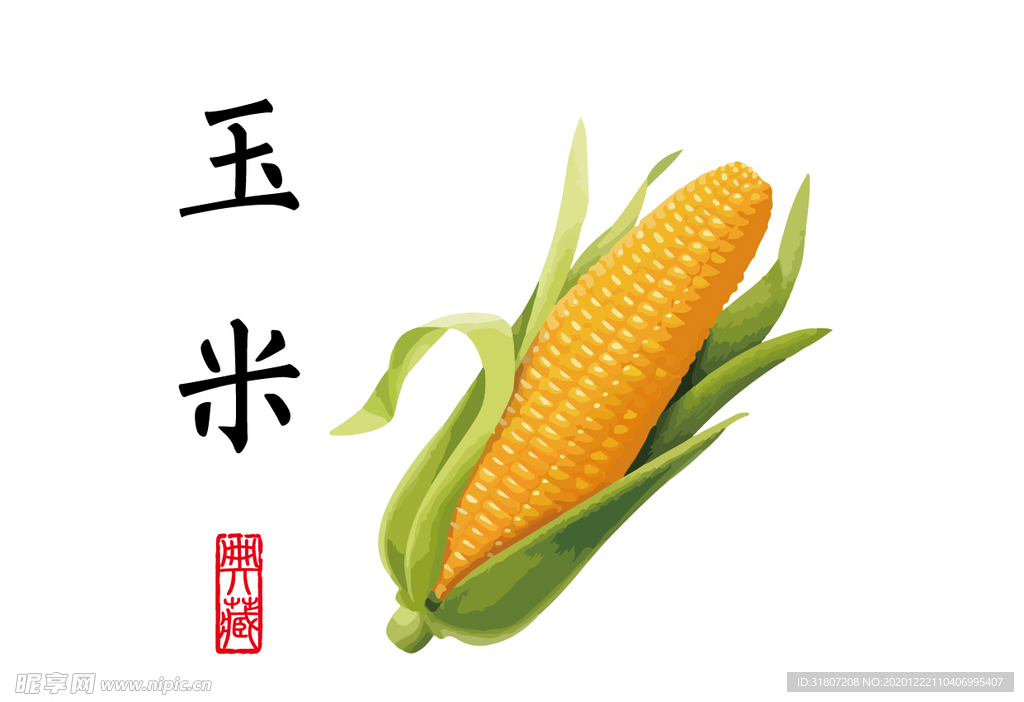 玉米插畫(huà)