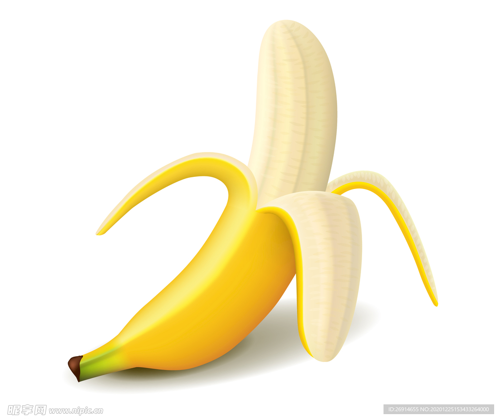手绘矢量香蕉