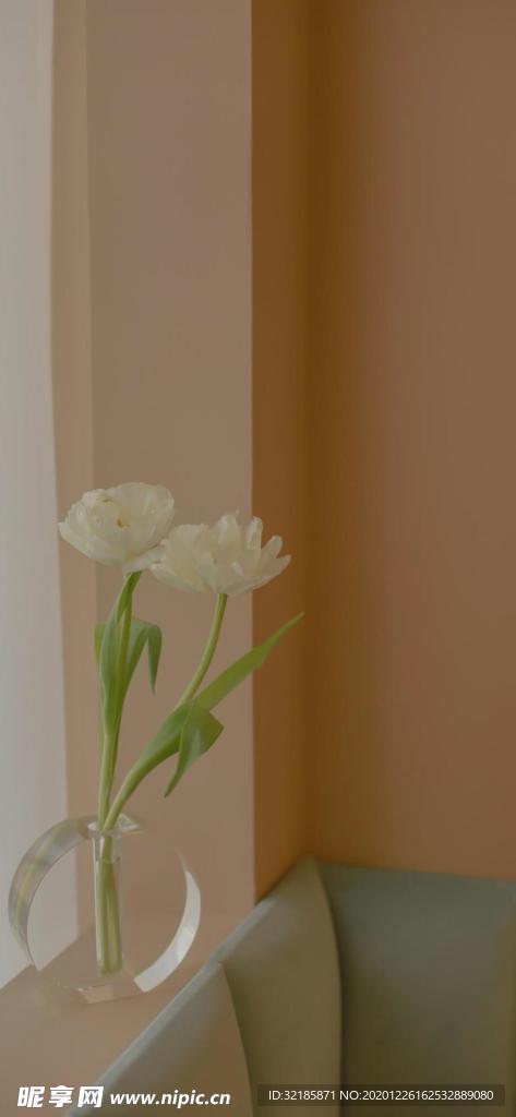 水仙花圖片