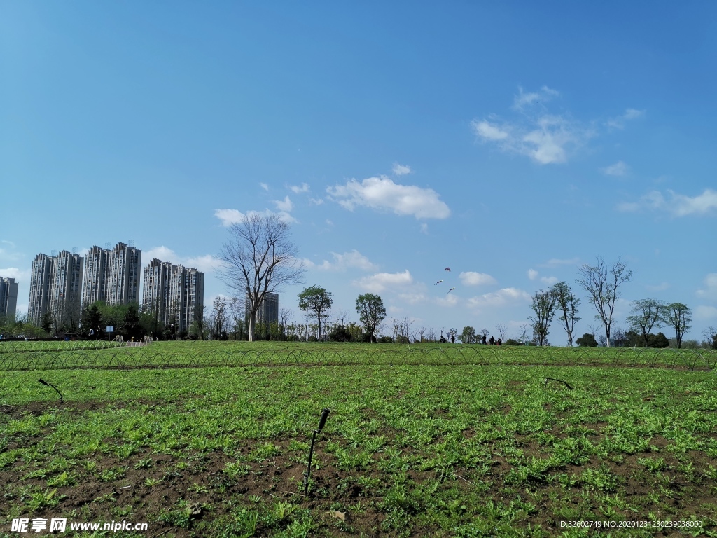 城市處女地