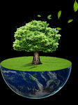 环保 地球 树木