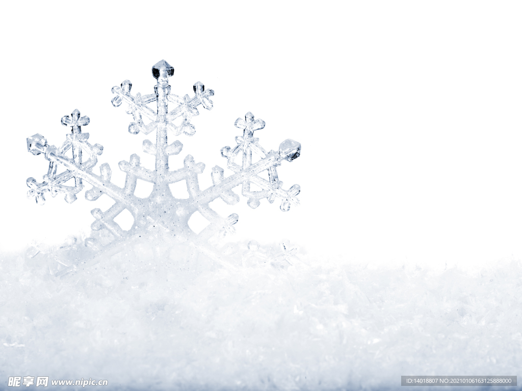雪中的雪花