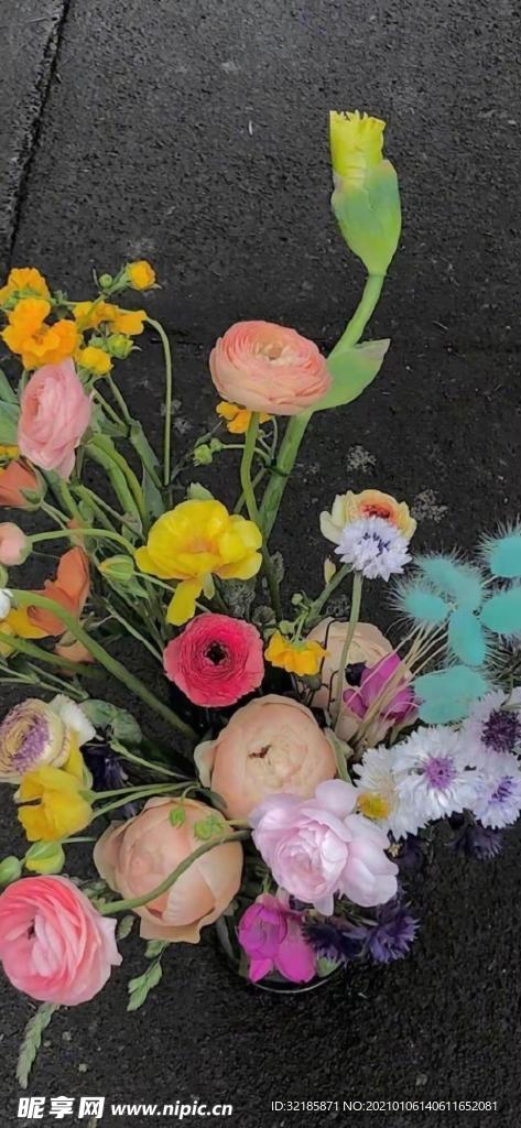 植物花朵   圖片   花