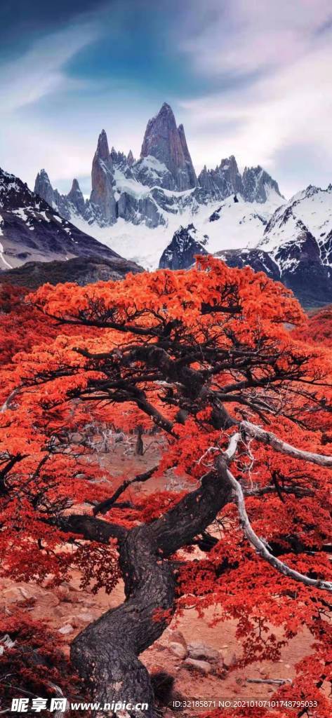 唯美  風(fēng)景  圖片 雪景