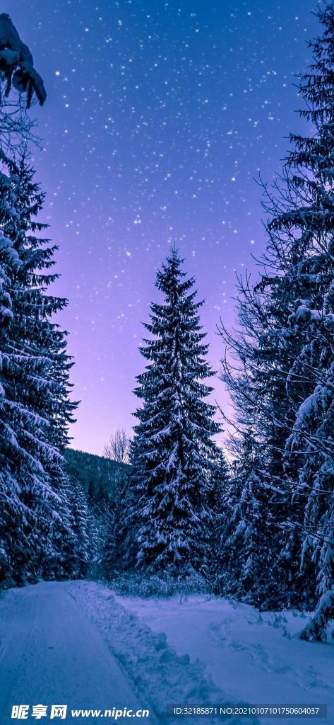 唯美  風(fēng)景  圖片 雪景