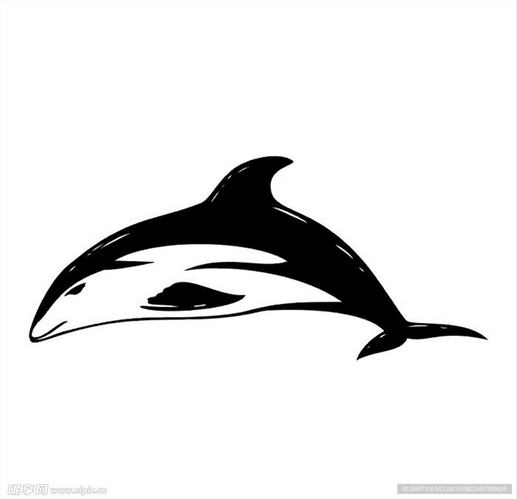 海豚CDR矢量图