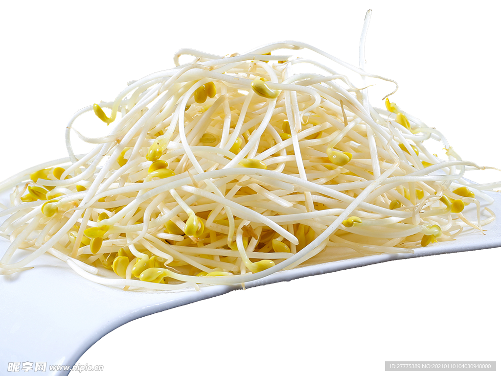 蔬菜豆芽