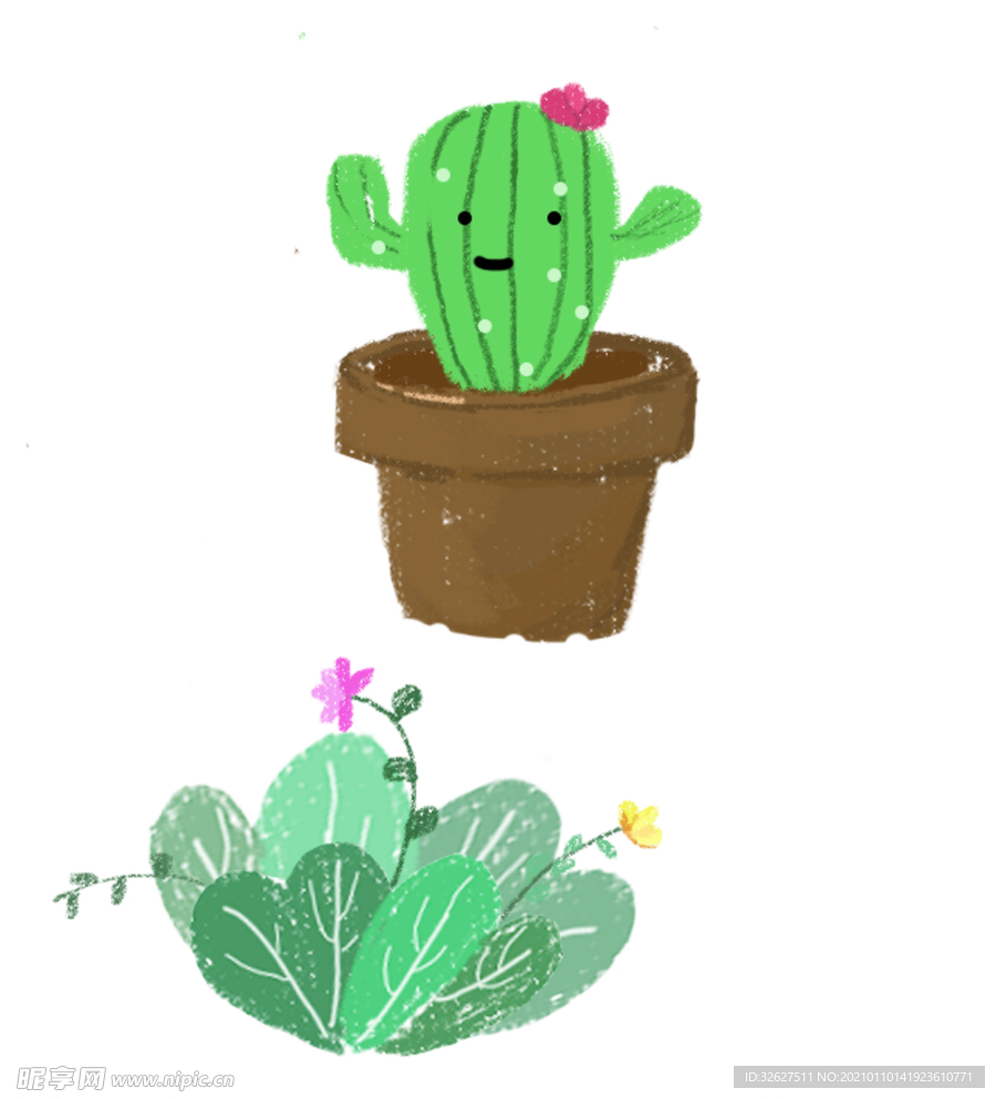 植物