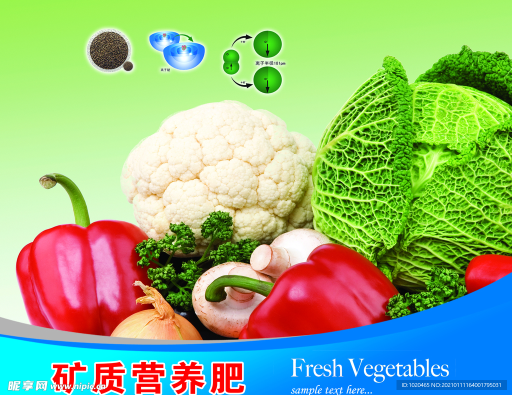 营养肥料蔬菜