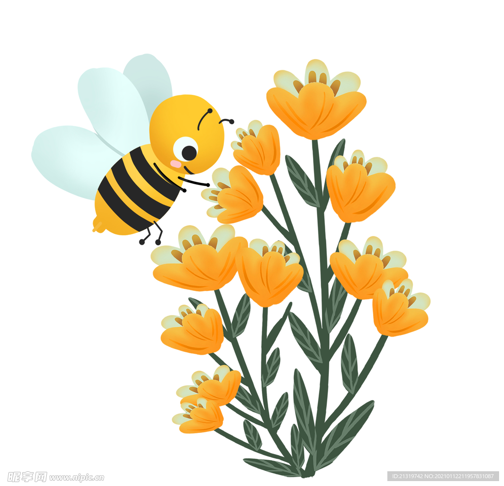 正在菜花蜜的蜜蜂插畫