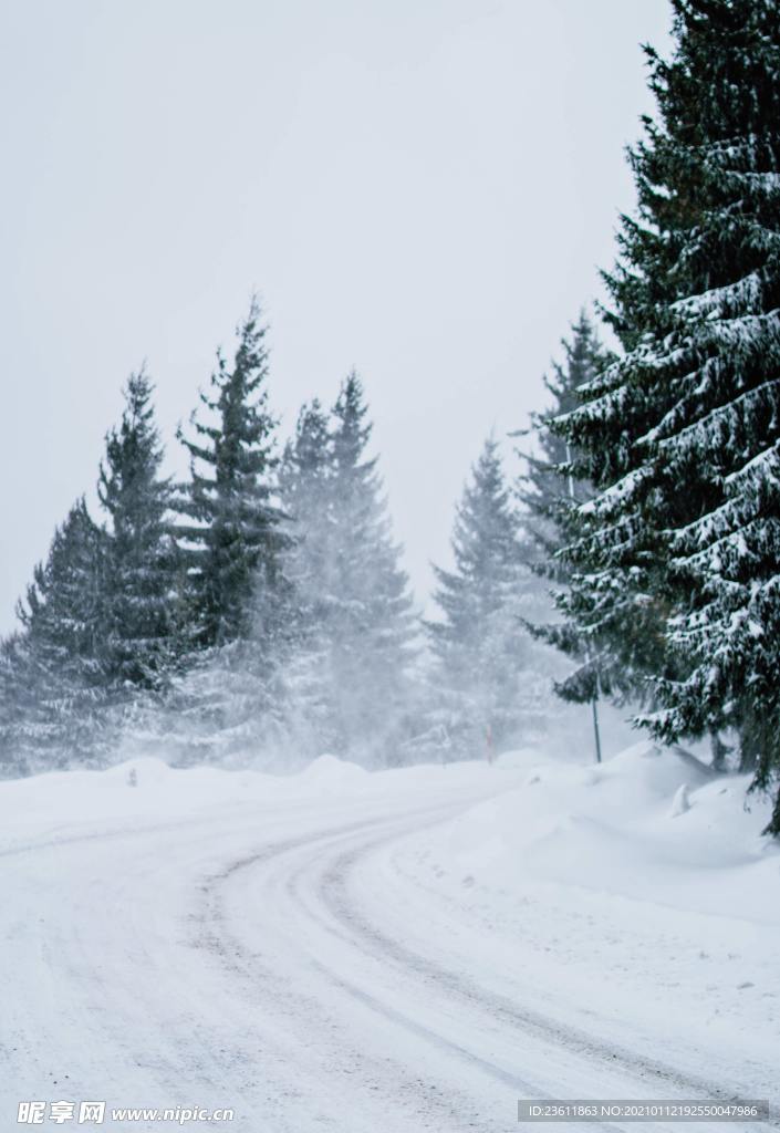 雪地背景大雪道路