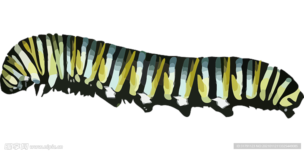 蟲子