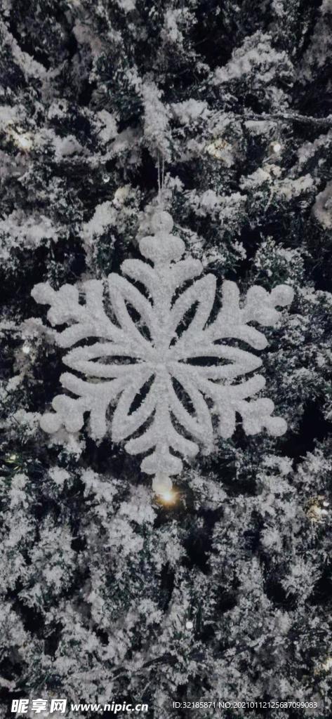 雪花圖片