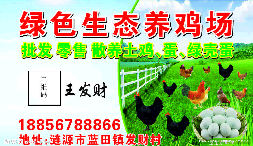 绿色生态养鸡场