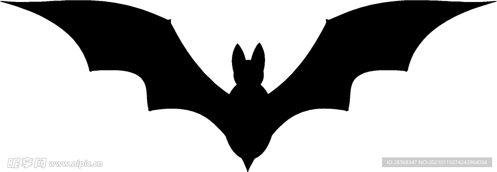 蝙蝠剪影