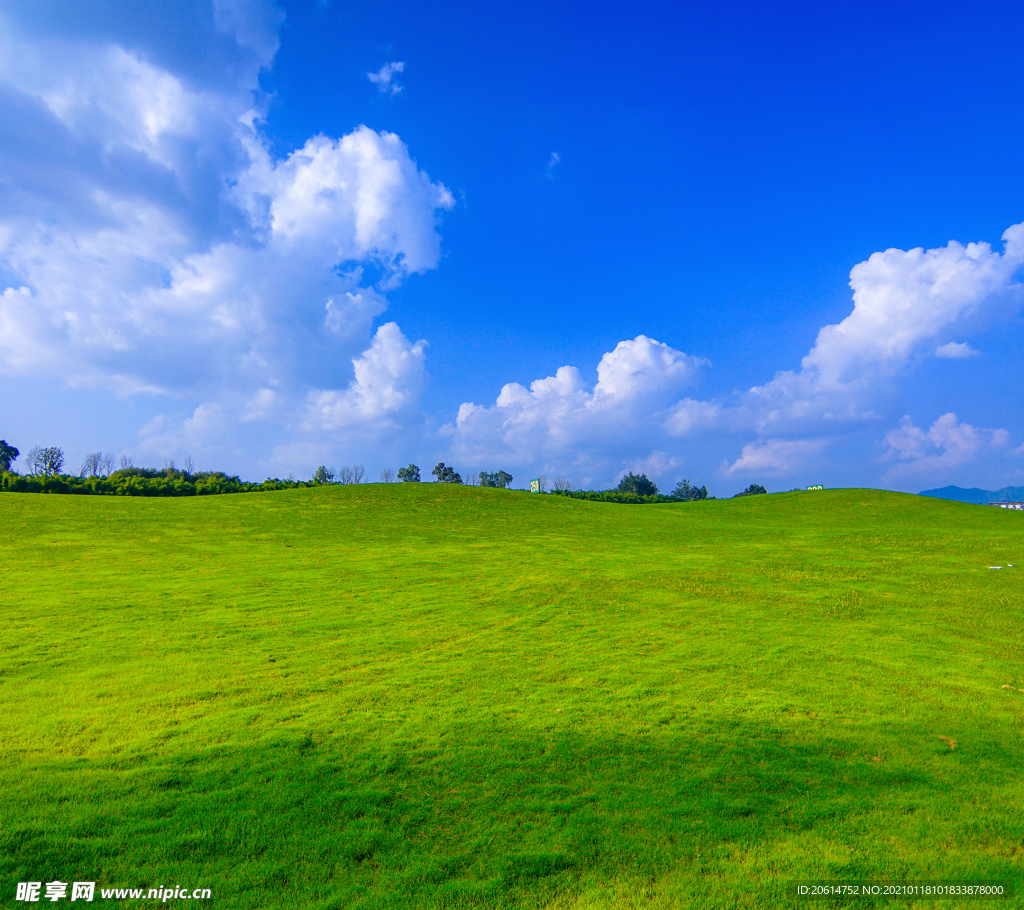 藍天下的草原風景