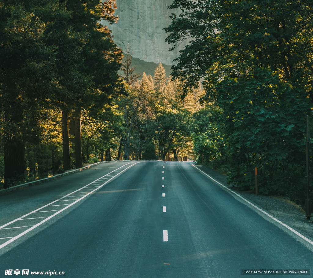 美麗的道路風景