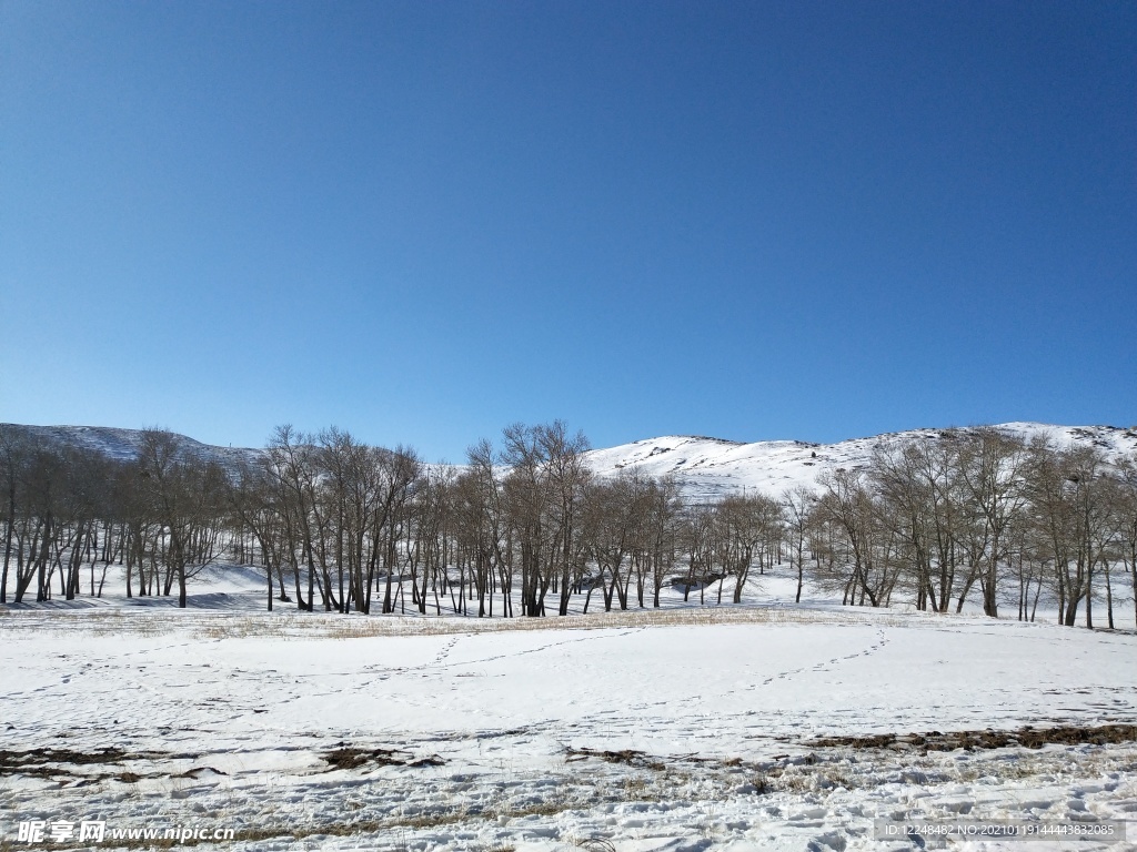 蓝天雪地