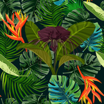 热带植物 龟背叶
