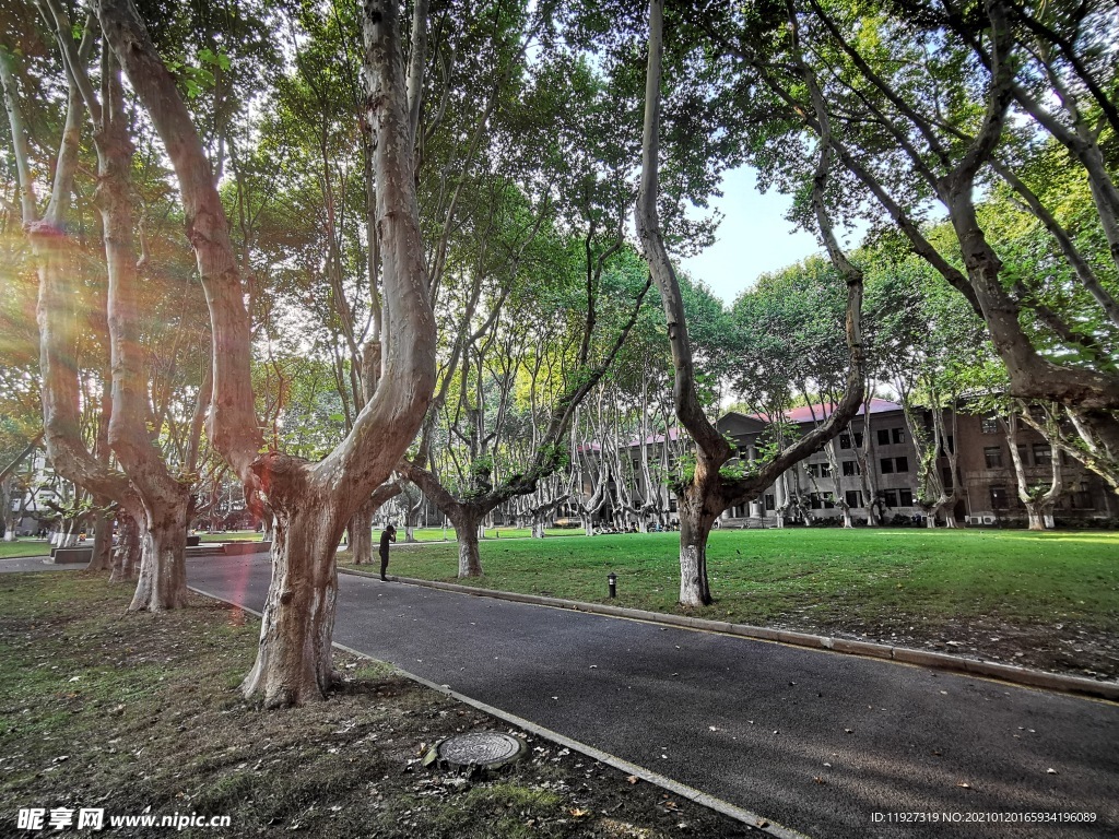 东南大学内景