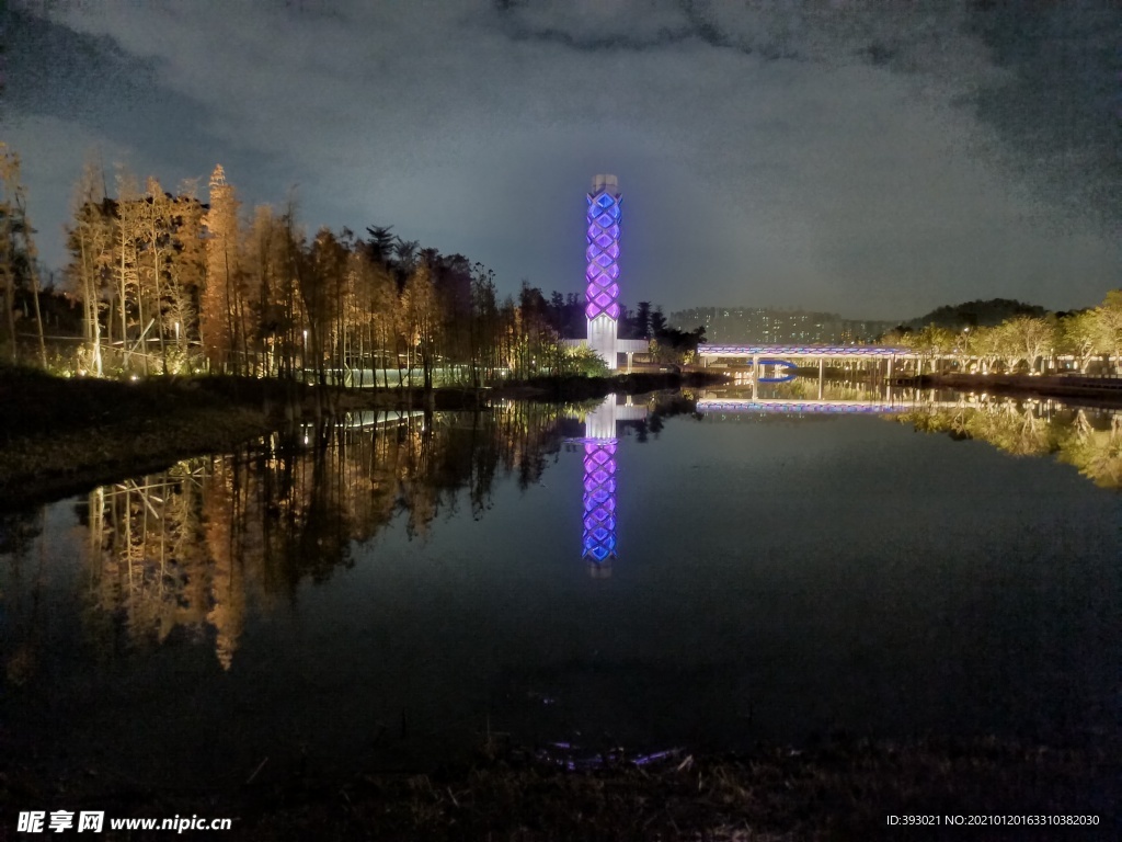 常平常新公園夜景