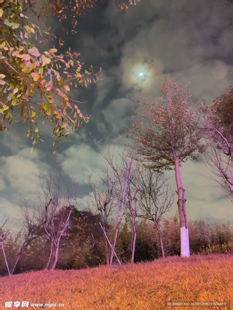 常平常新公園夜景
