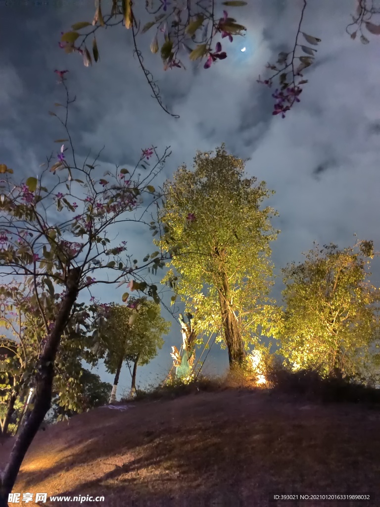 常平常新公園夜景