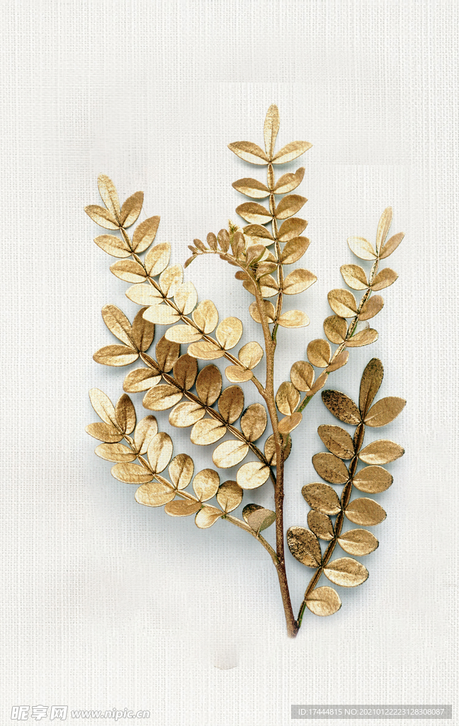 小清新金色抽象立体叶子植物挂画
