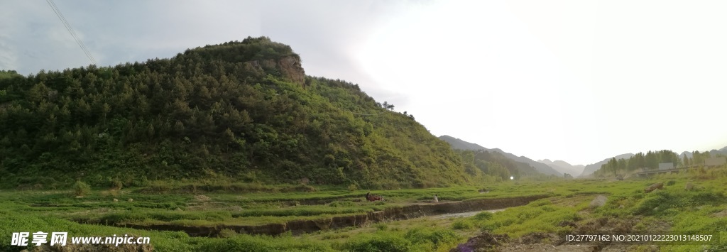 山