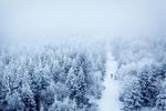 冬天森林雪山图片素材