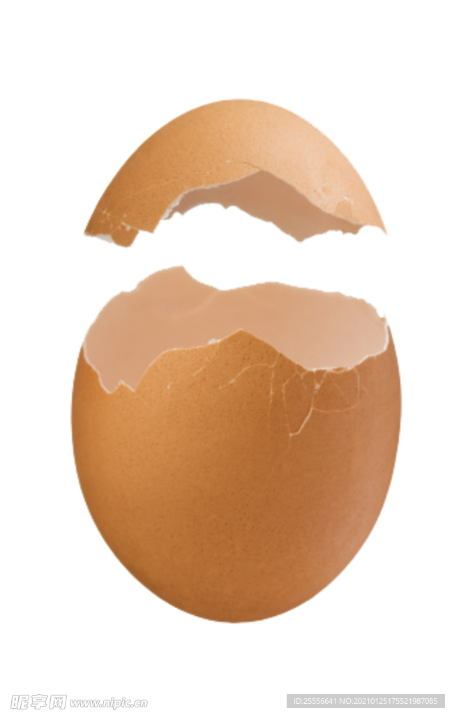 鸡蛋壳
