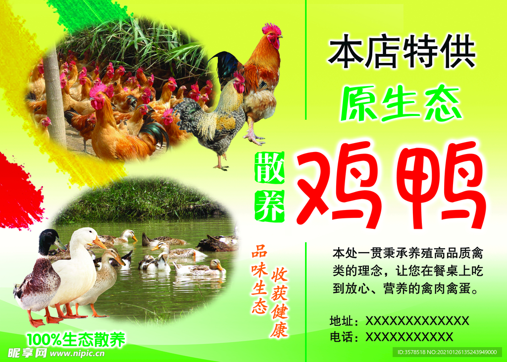 散養(yǎng)雞鴨
