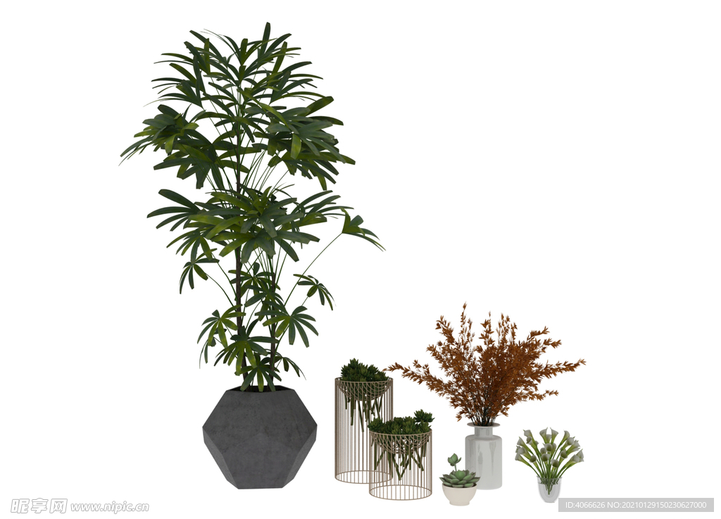 植物组3d模型