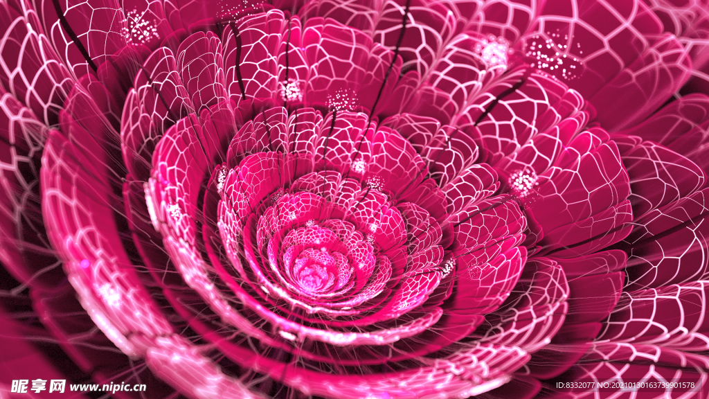 美麗花紋