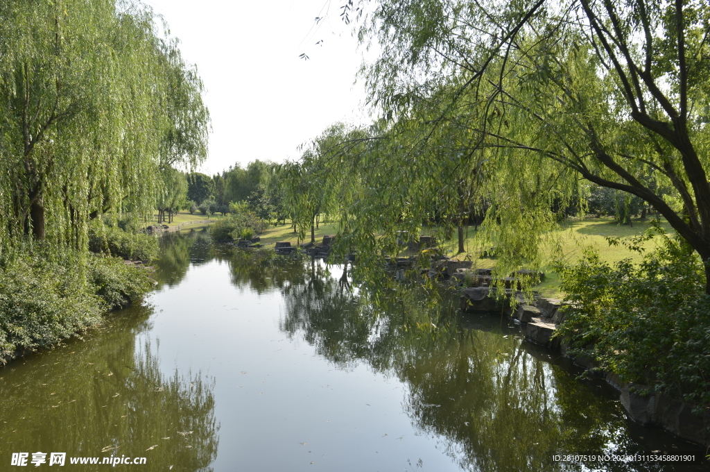 滨江森林公园河流岸边一处风景照