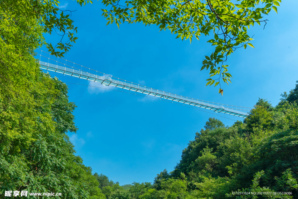 玻璃吊橋