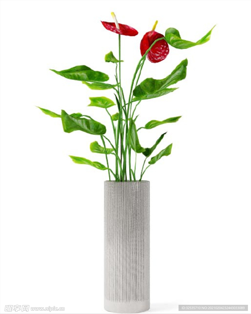 花竹
