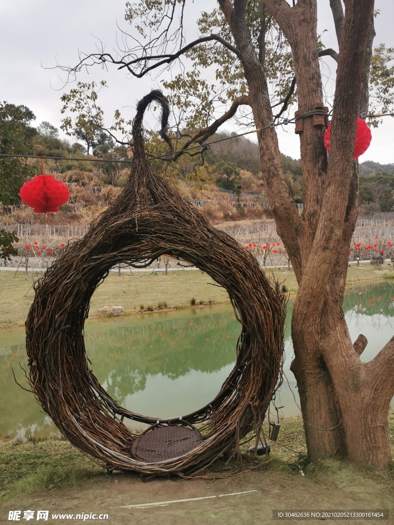 樹枝鳥巢鳥窩巢穴