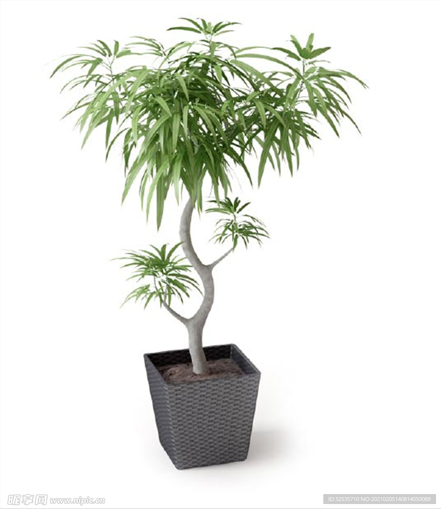 藝術盆栽