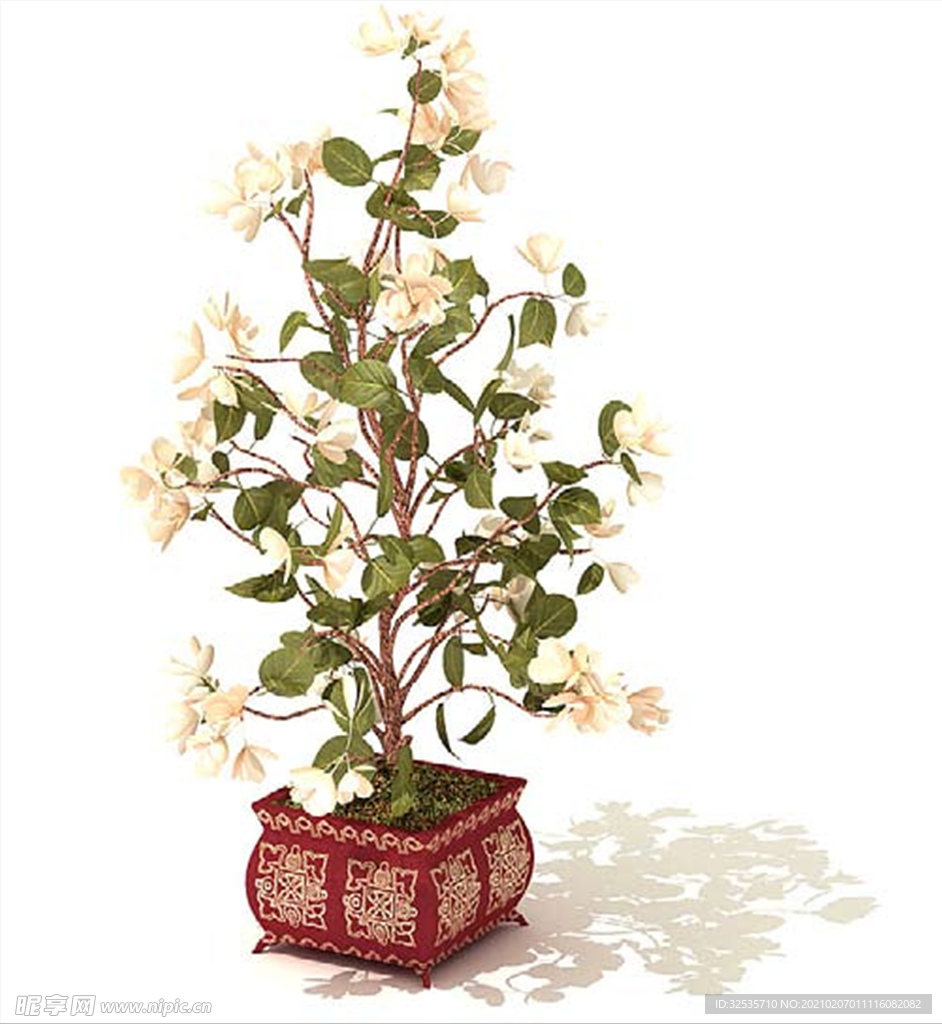 山茶花