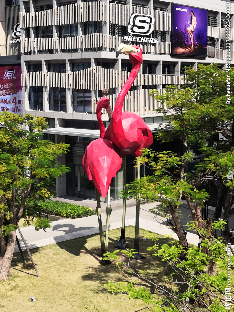 建筑物花园中的红色大嘴仙鹤摄影