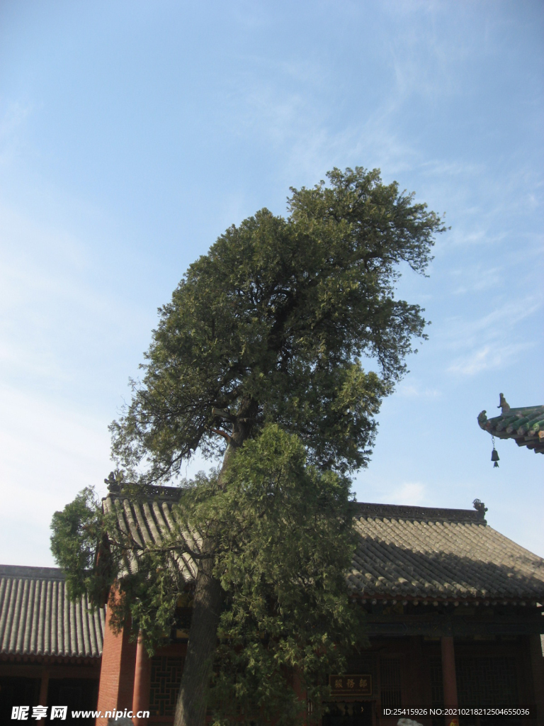 關(guān)帝廟