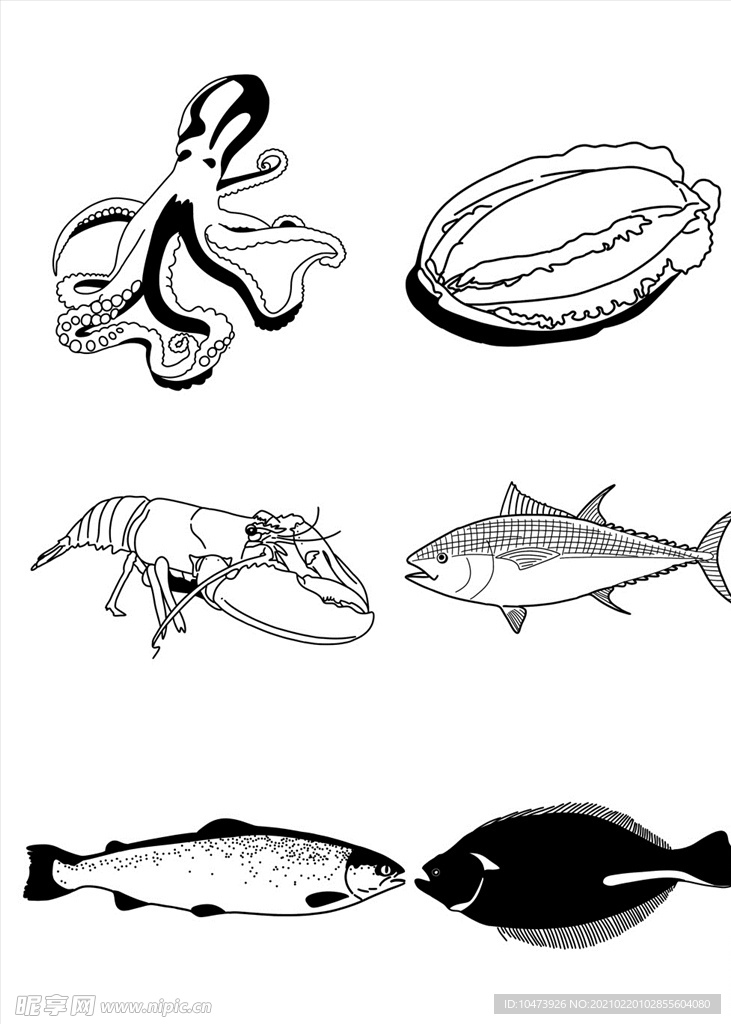 海洋动物素材