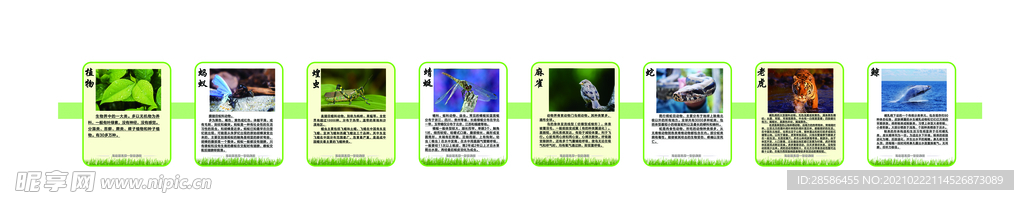 生物實(shí)驗(yàn)室