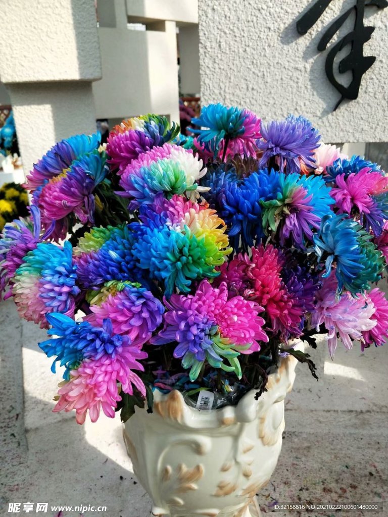菊花展