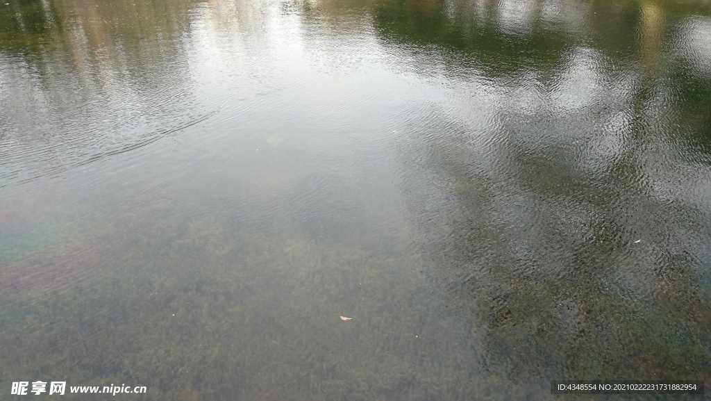 上海閘北公園水面