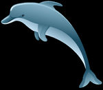 鲸鱼 鲸 鲸鱼背景 鲸鱼海报